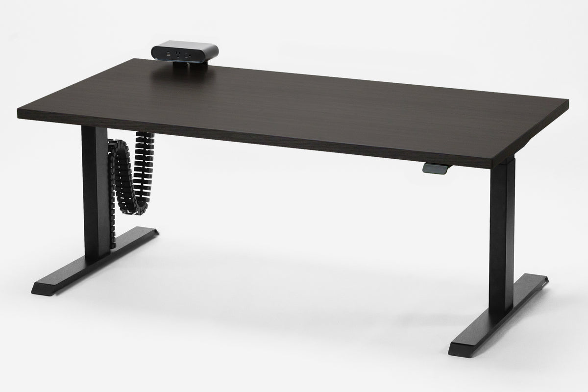 Detroit Standing Desk — Michigan Edition