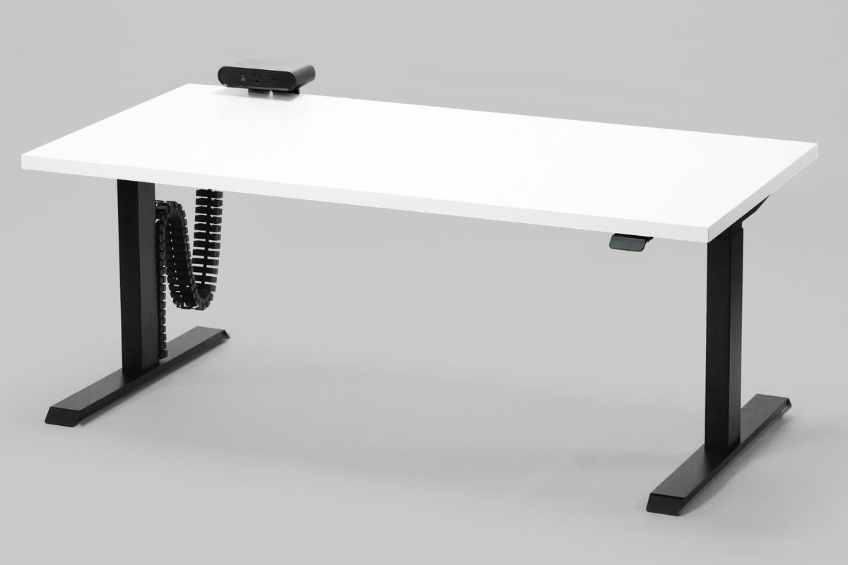 Detroit Standing Desk — Michigan Edition