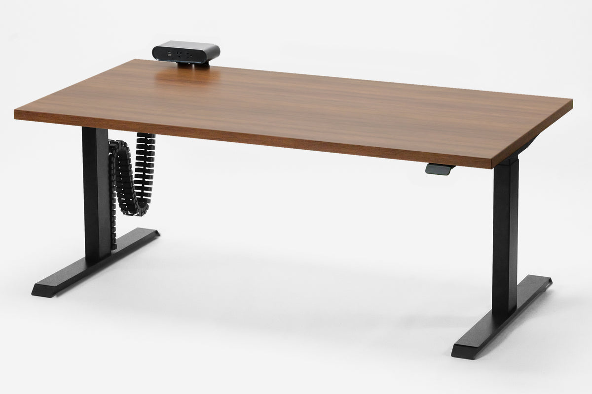 Detroit Standing Desk — Michigan Edition