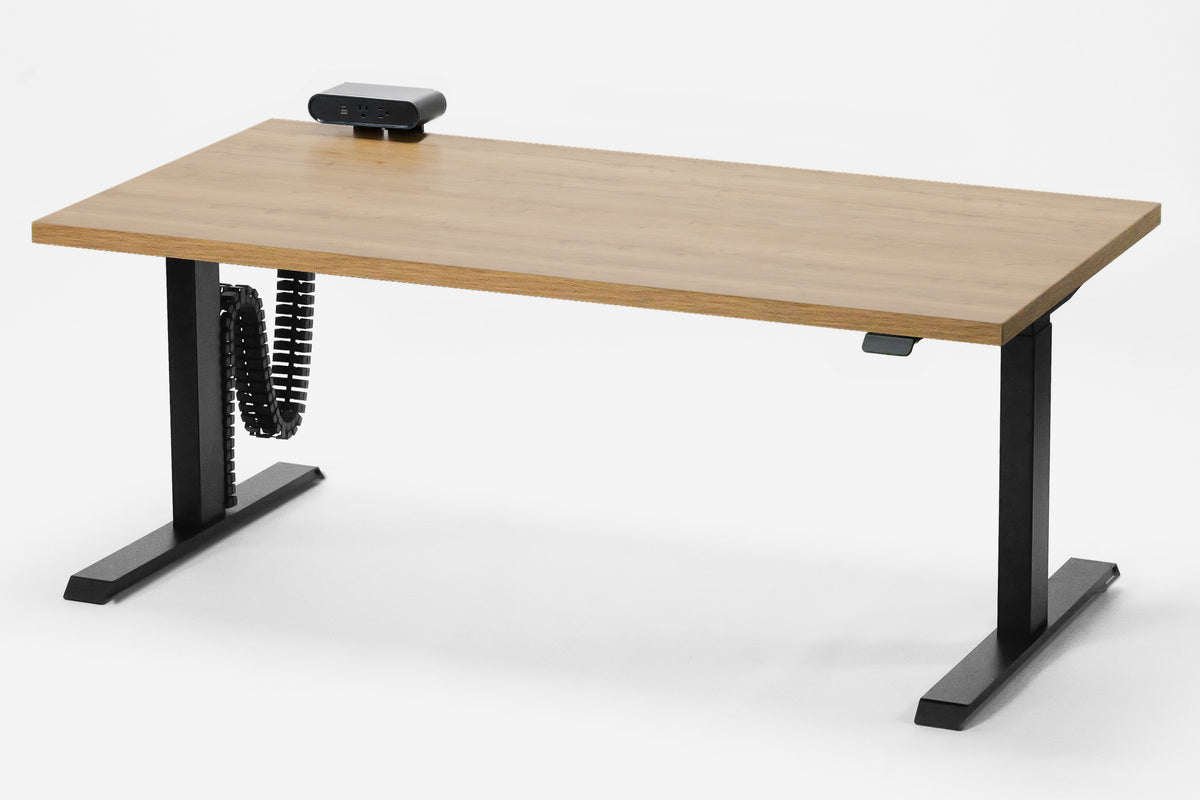 Detroit Standing Desk — Michigan Edition