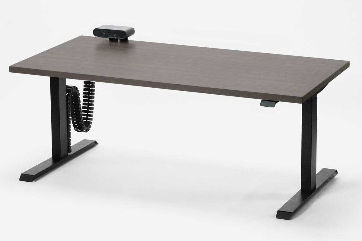 Detroit Standing Desk — Michigan Edition