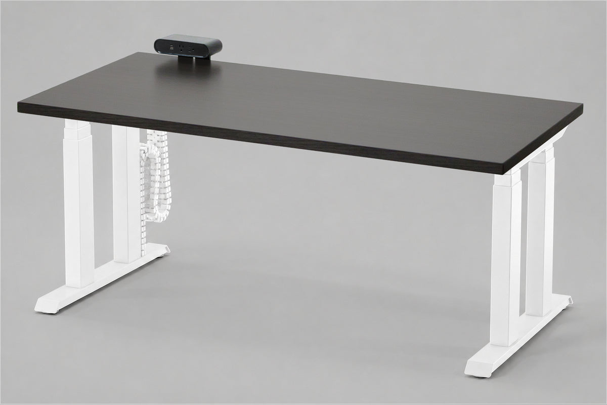 Lansing Standing Desk — Michigan Edition