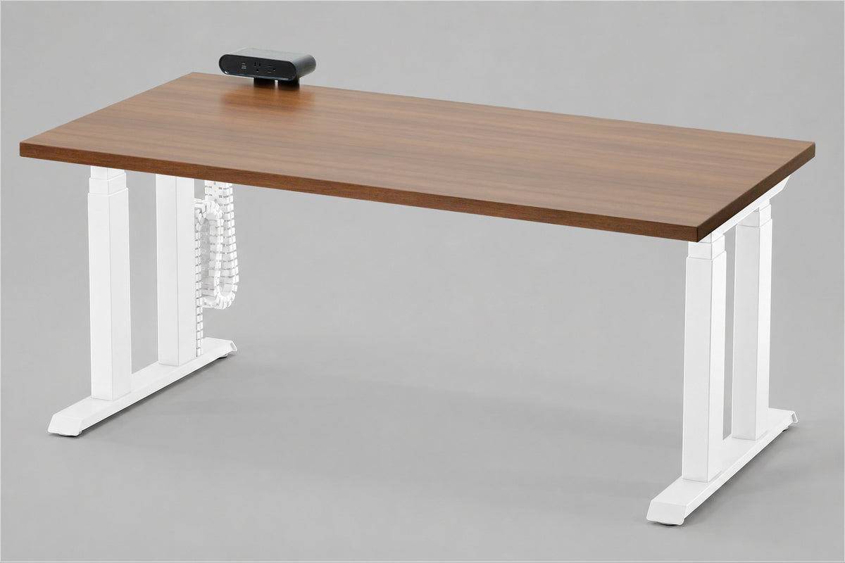 Lansing Standing Desk — Michigan Edition