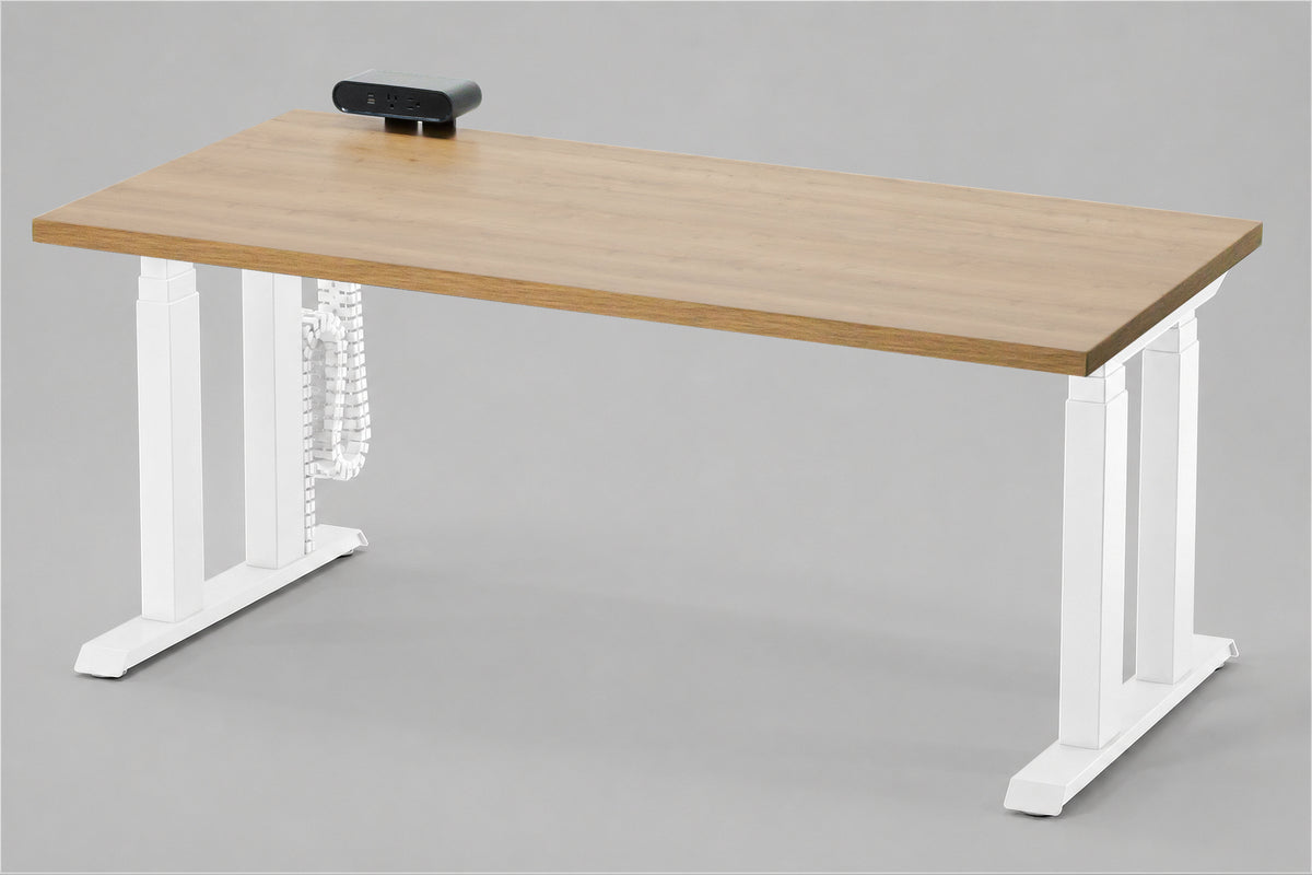 Lansing Standing Desk — Michigan Edition