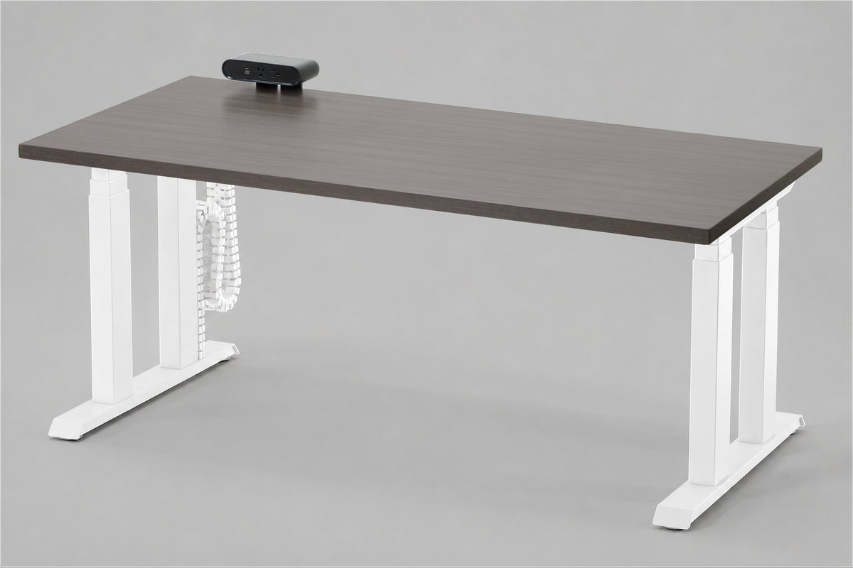 Lansing Standing Desk — Michigan Edition