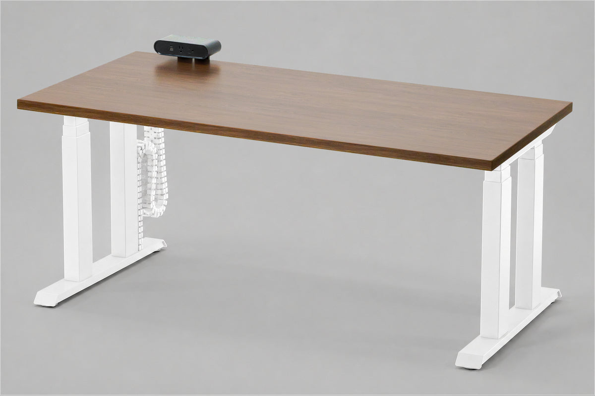 Lansing Standing Desk — Michigan Edition