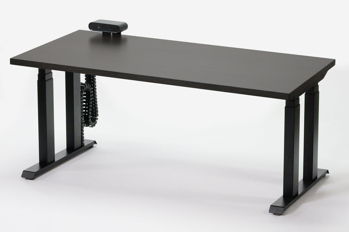Lansing Standing Desk — Michigan Edition