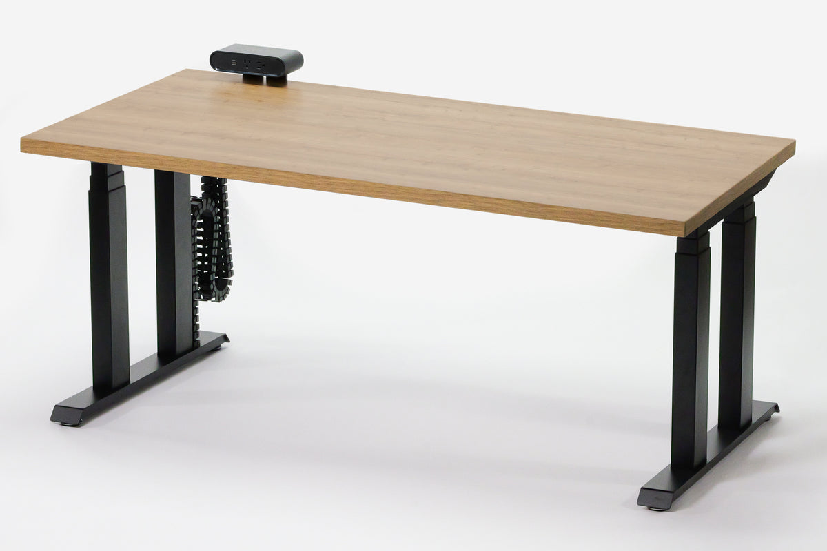 Lansing Standing Desk — Michigan Edition