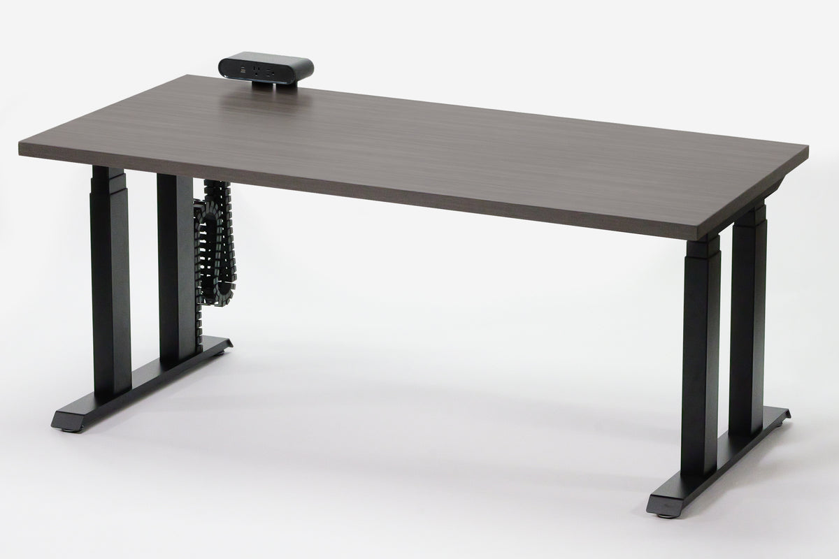 Lansing Standing Desk — Michigan Edition