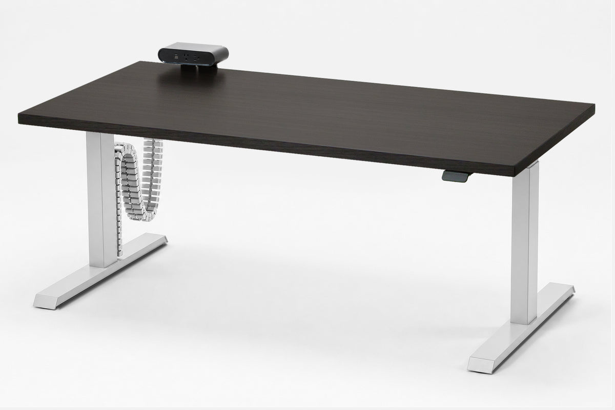 Detroit Standing Desk — Michigan Edition