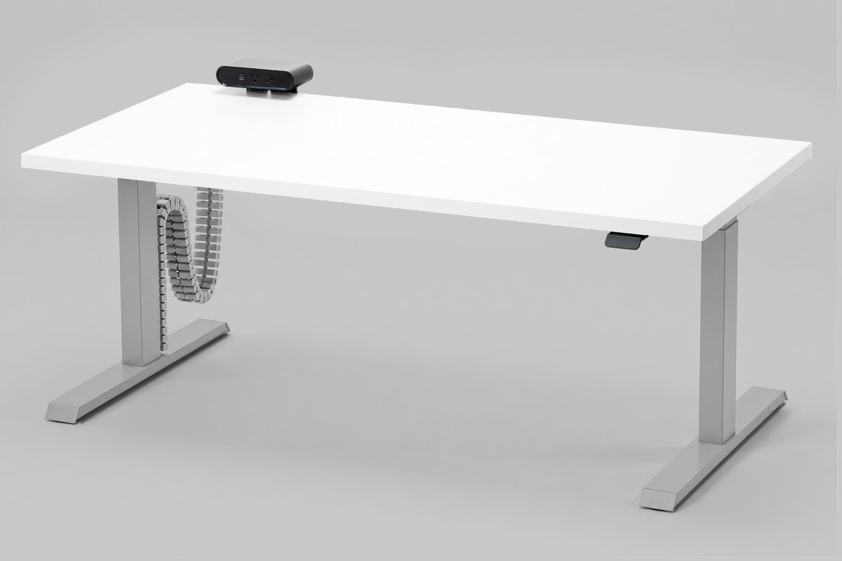 Detroit Standing Desk — Michigan Edition