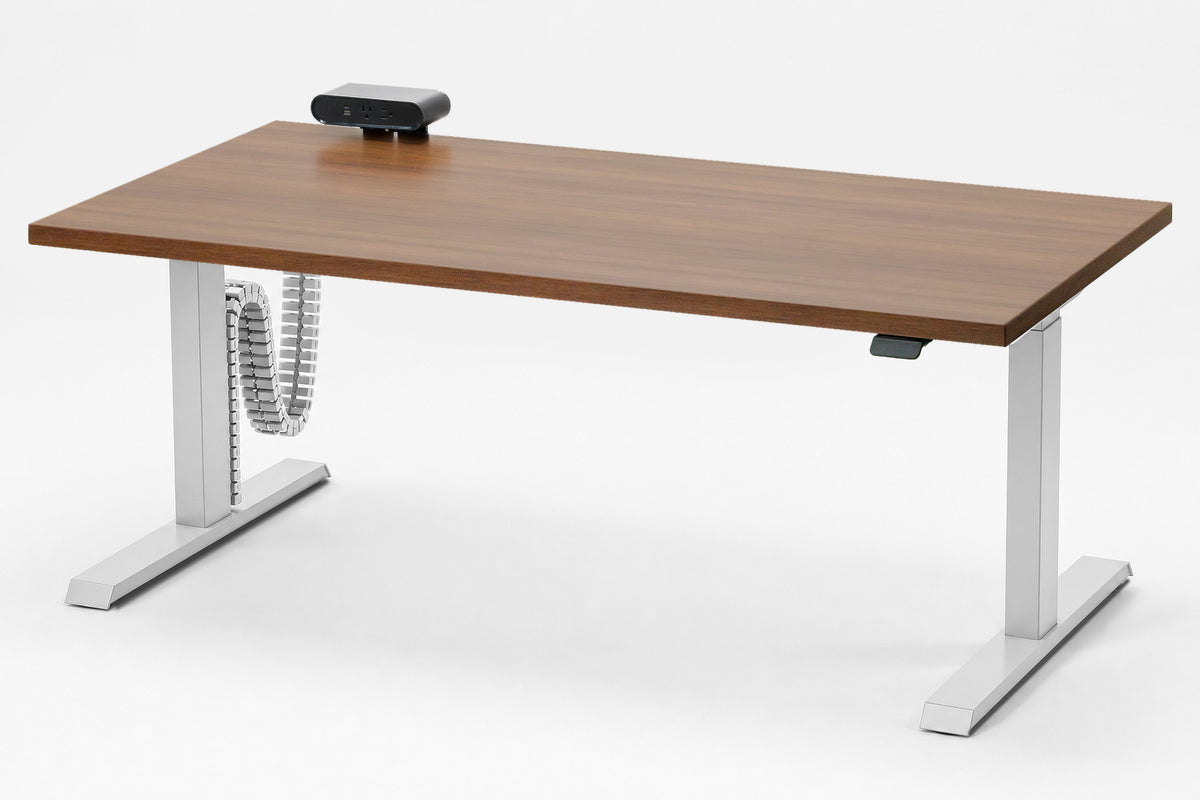 Detroit Standing Desk — Michigan Edition