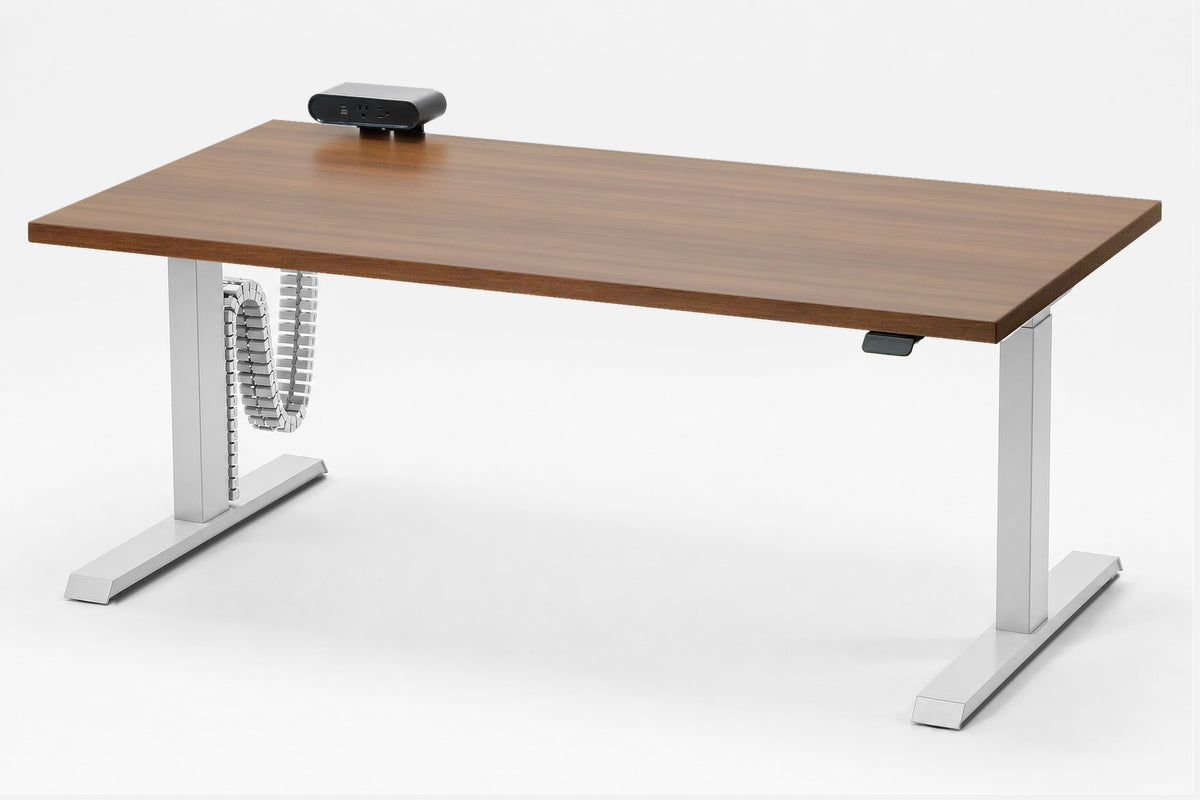 Detroit Standing Desk — Michigan Edition