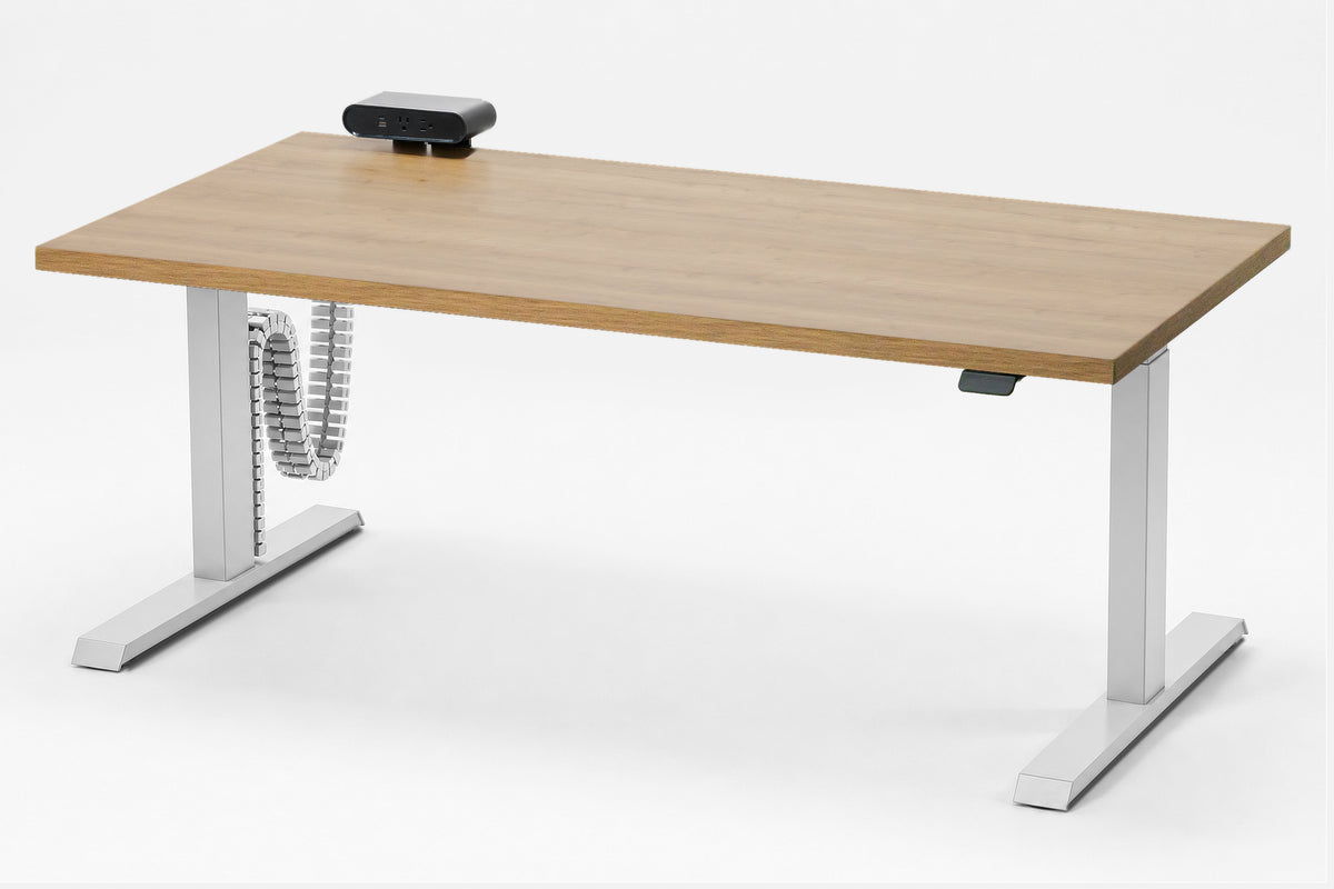 Detroit Standing Desk — Michigan Edition