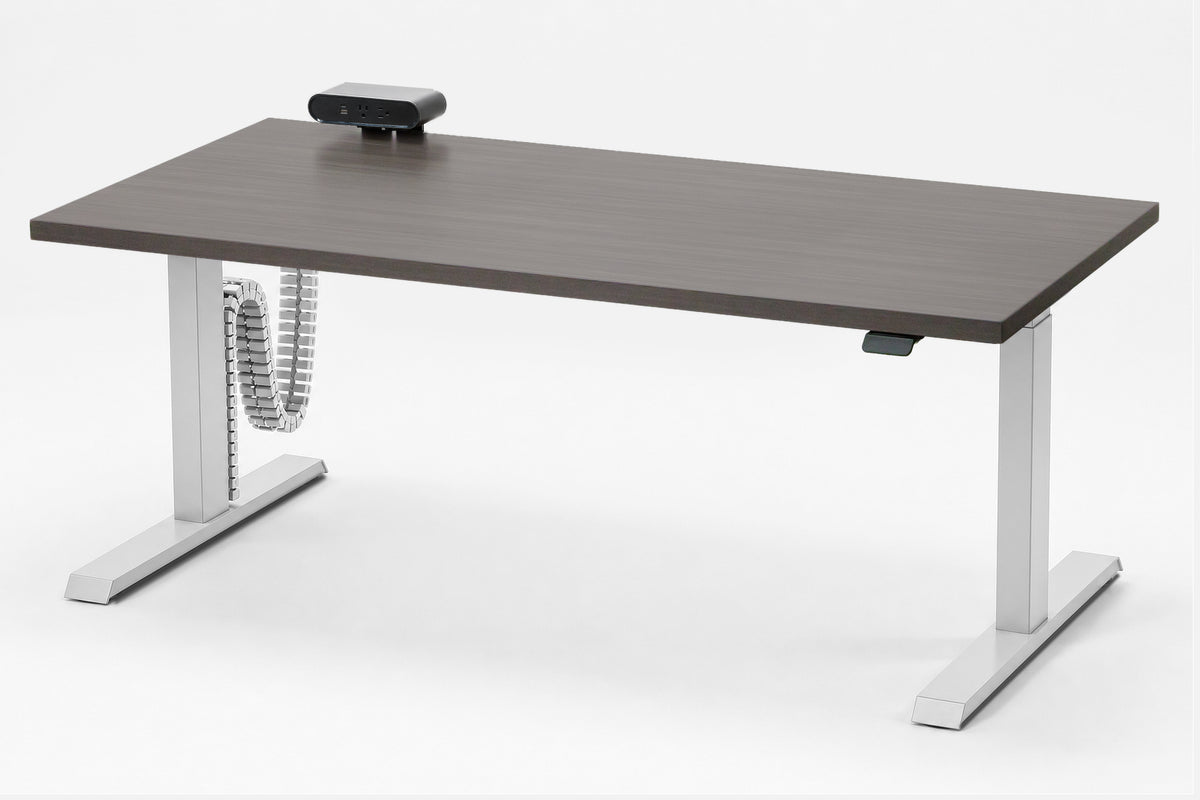 Detroit Standing Desk — Michigan Edition