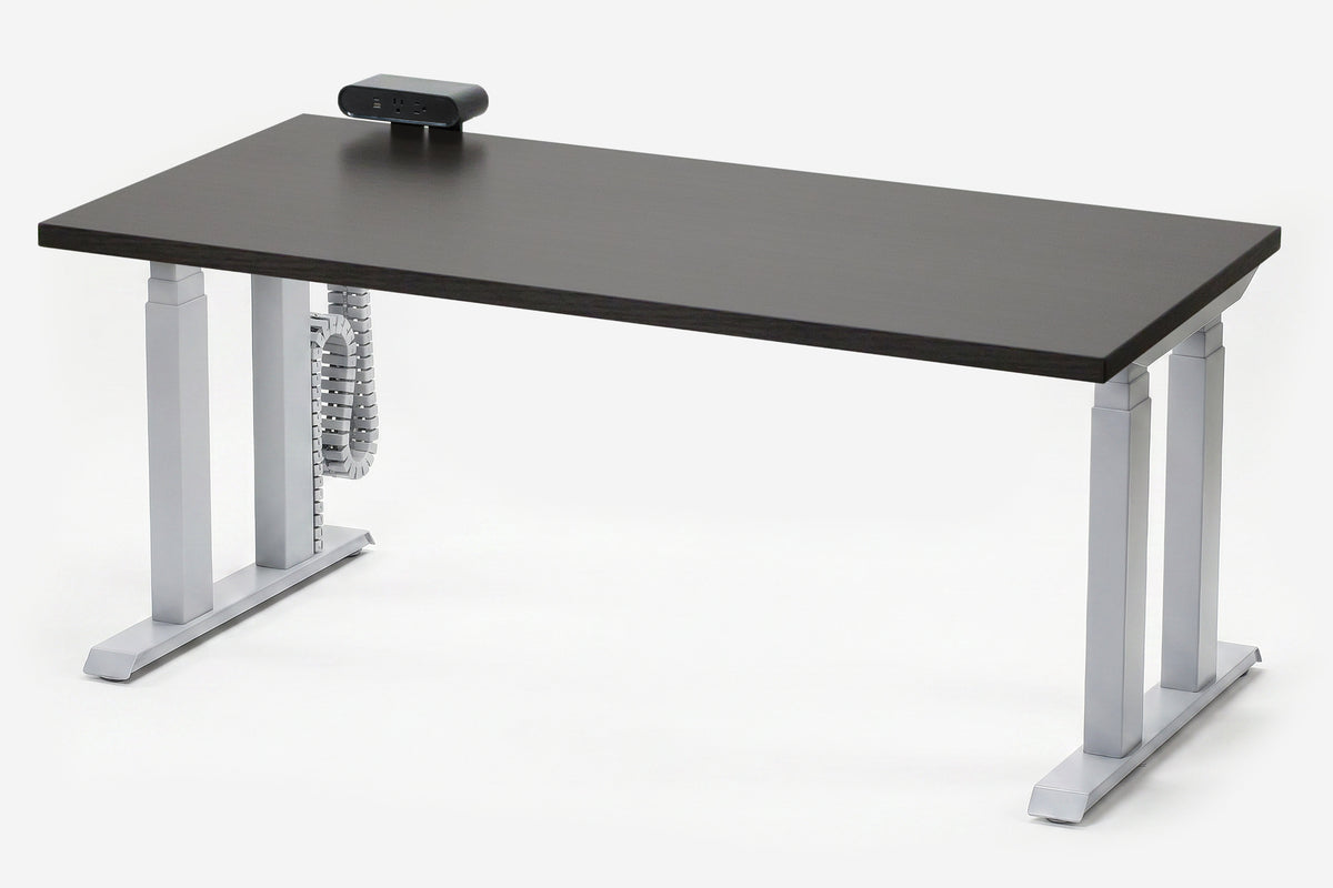 Lansing Standing Desk — Michigan Edition