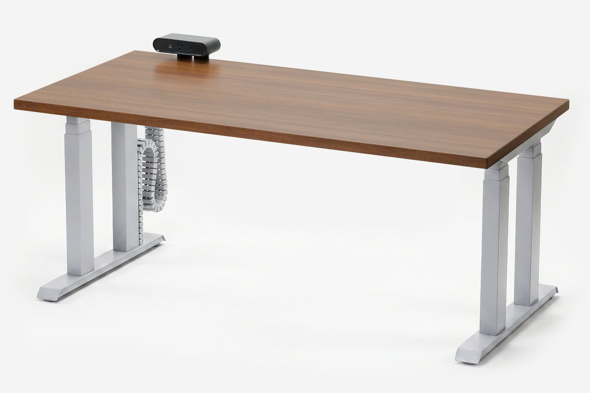 Lansing Standing Desk — Michigan Edition