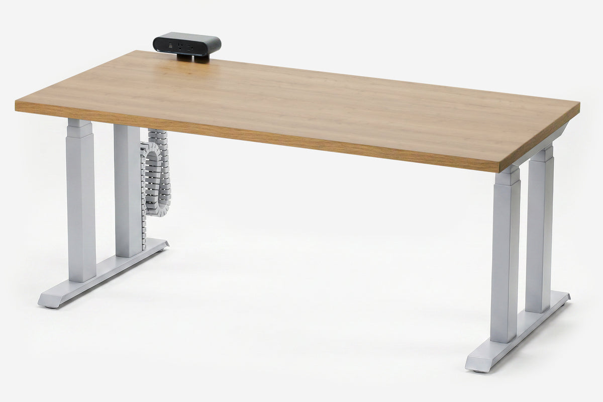 Lansing Standing Desk — Michigan Edition