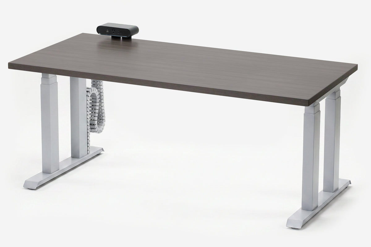 Lansing Standing Desk — Michigan Edition
