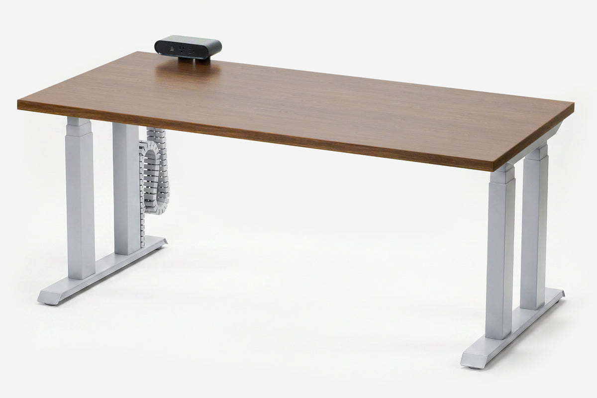 Lansing Standing Desk — Michigan Edition