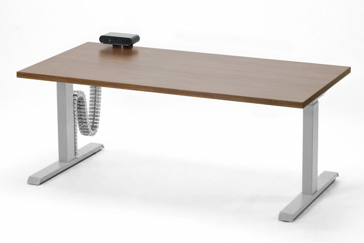 Detroit Standing Desk — Michigan Edition