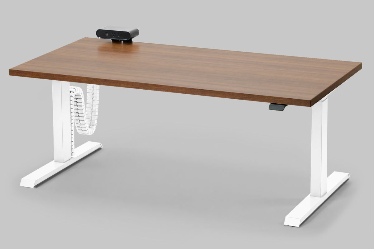 Detroit Standing Desk — Michigan Edition