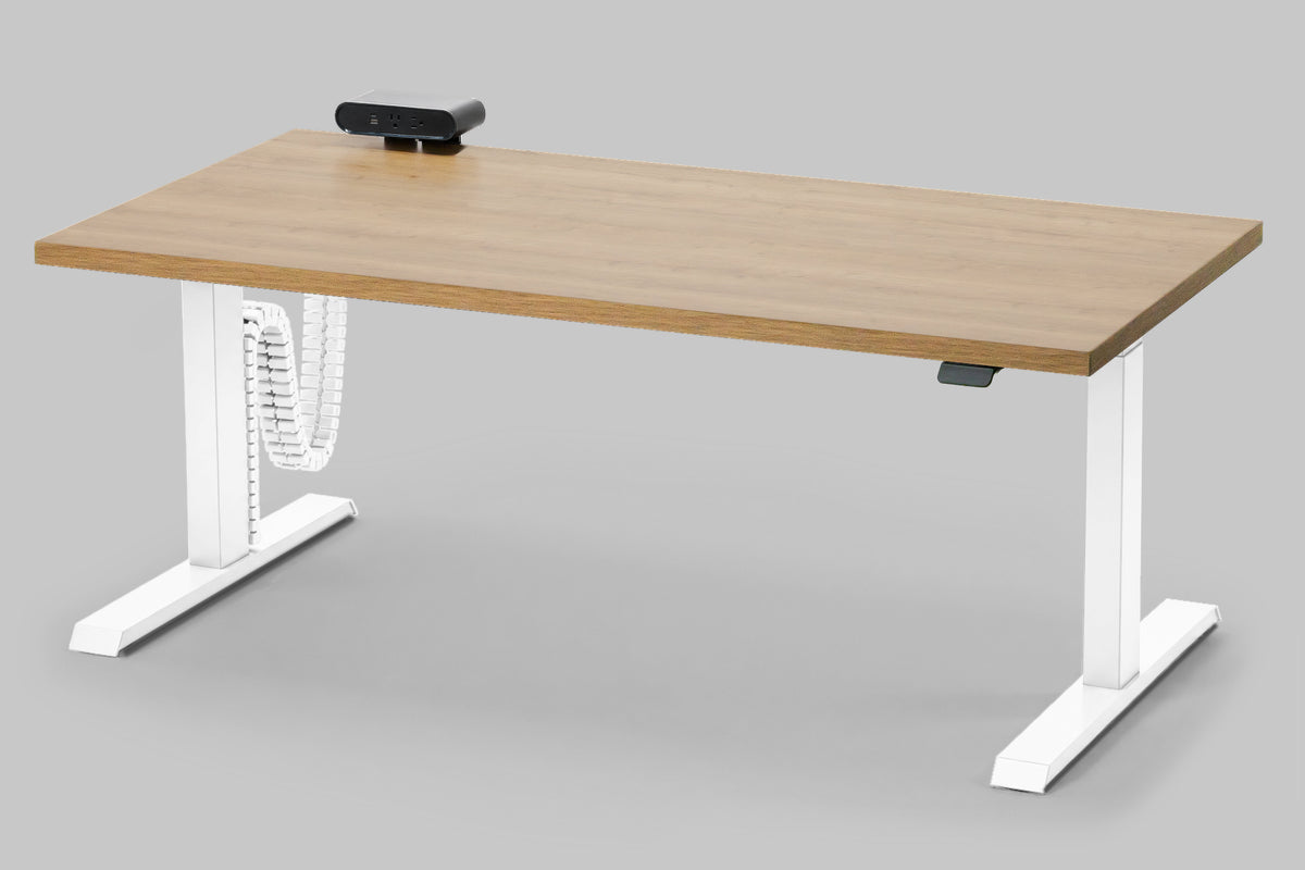 Detroit Standing Desk — Michigan Edition