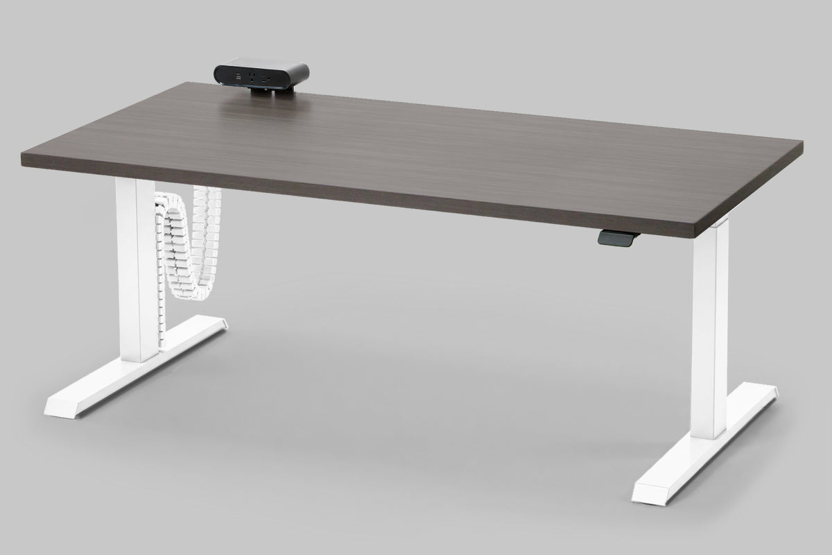 Detroit Standing Desk — Michigan Edition