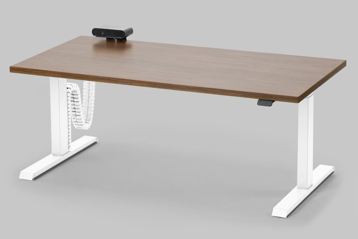Detroit Standing Desk — Michigan Edition