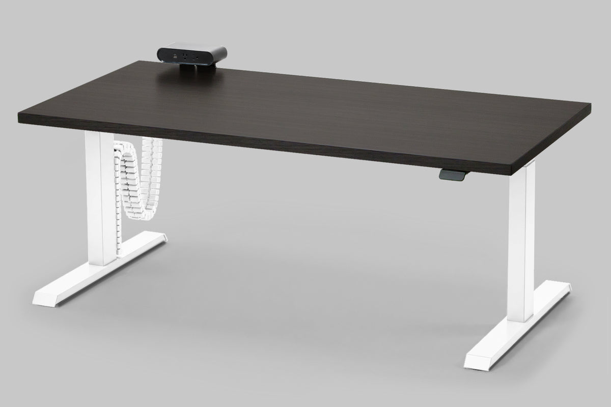 Detroit Standing Desk — Michigan Edition